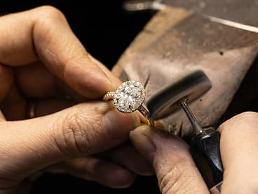 The Aarunya Legacy: Crafting Your Masterpiece